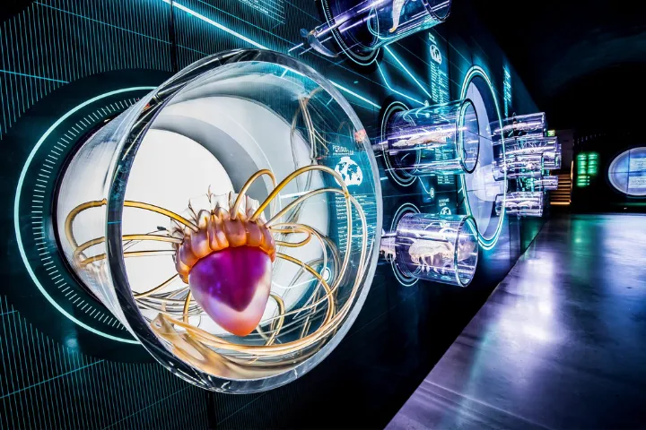 Wrocław – Natura w mieście: wodne tajemnice i ZOO